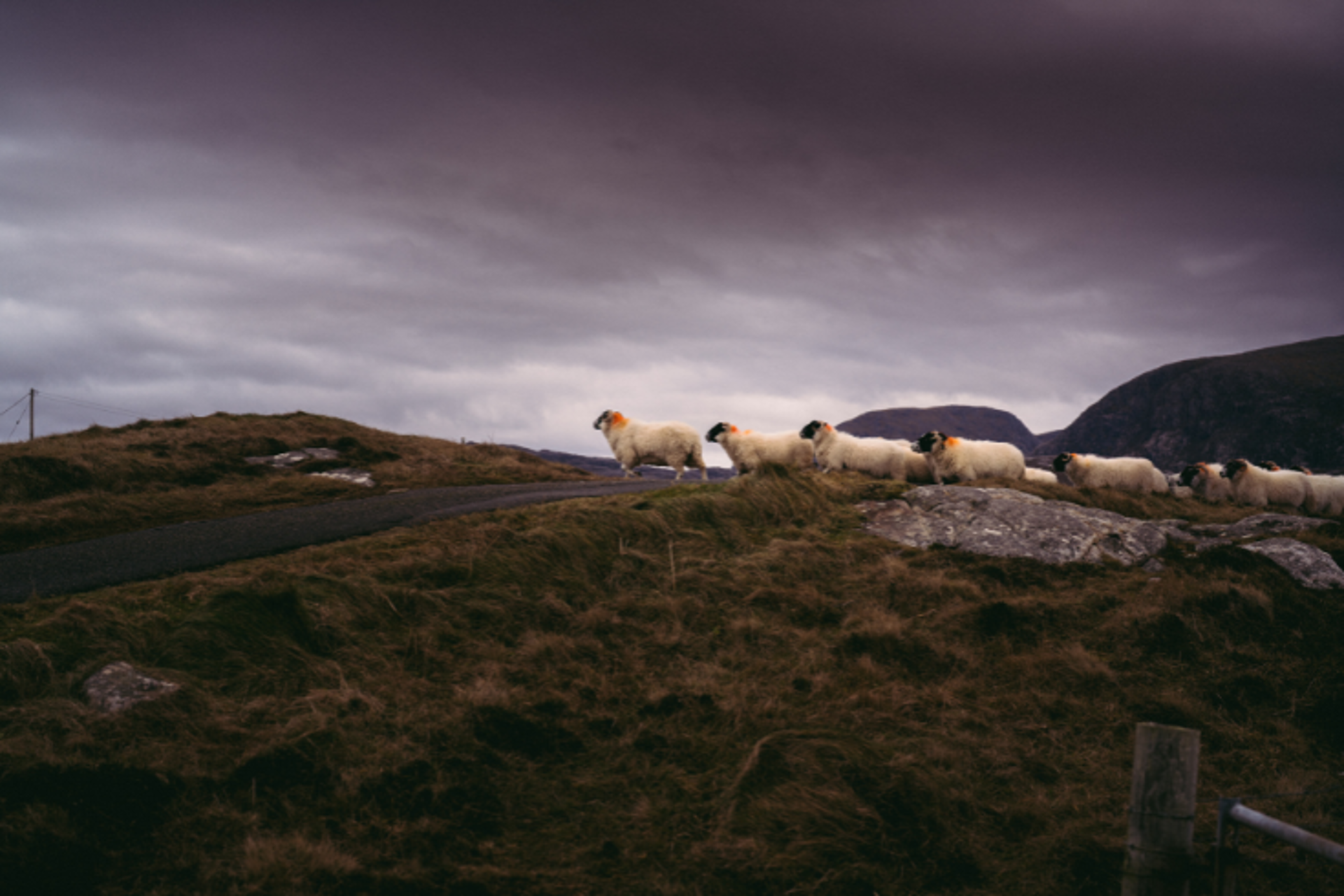 SOAW Stornoway 4